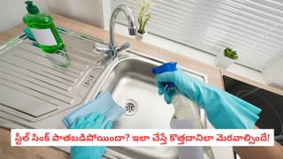 Idli vs Poha: ఇడ్లీ లేదా పోహా.. బరువు తగ్గేందుకు ఏది బెస్ట్.. నిపుణులు సజెస్ చేసేదేంటి?