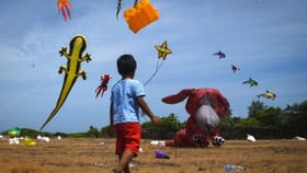 భాగ్యనగర కైట్ ఫెస్టివల్ ప్రాముఖ్యత గురించి తెలుసా!