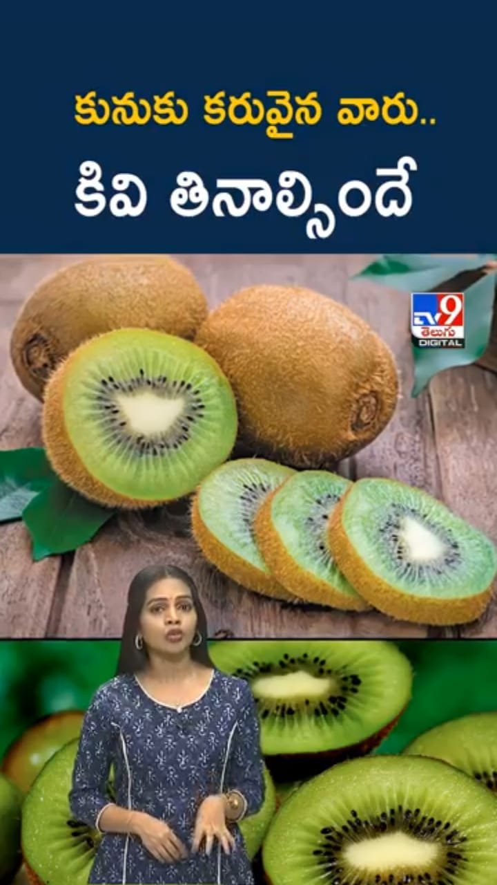 Kiwi Fruit: కివి పండు తింటే..నిద్రలేమి సమస్య ఫసక్..! మరెన్నో బెనిఫిట్స్