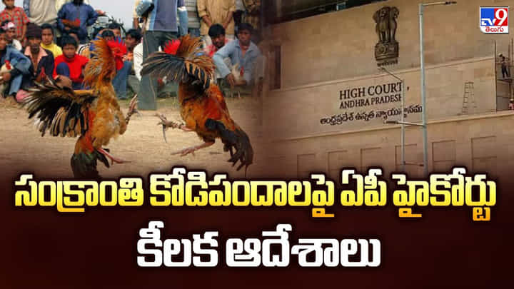 AP High Court: సంక్రాంతి కోడిపందాలపై ఏపీ హైకోర్టు కీలక ఆదేశాలు AP High Court: సంక్రాంతి కోడిపందాలపై ఏపీ హైకోర్టు కీలక ఆదేశాలు