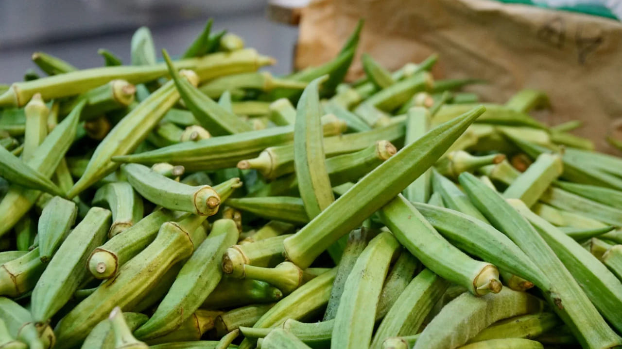 టిఫిన్ చేసే ముందు ఈ బెండకాయ నీళ్ళను తాగ‌డం వ‌ల్ల ఆక‌లి వెయ్యదు. అలాగే, తినడాన్ని కూడా తగ్గిస్తారు. అంతే కాదు, బ్లడ్ లో 
షుగర్ లెవెల్స్ కూడా అదుపులో ఉంటాయి.