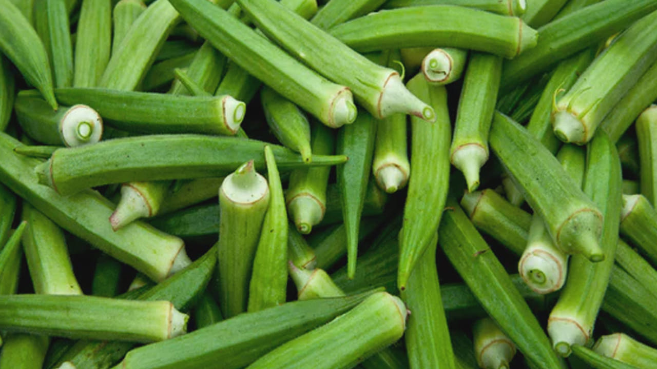 అధిక బ‌రువు ఇప్పుడు ప్రధాన సమస్యగా మారింది. దీనిని త‌గ్గించుకోవ‌డానికి చాలా మంది ఎన్నో ప్ర‌య‌త్నాలు చేస్తున్నారు. కొందరు 
వ్యాయామంతో తగ్గించుకుంటే, మరి కొందరు డైట్ ను ఫాలో అయ్యి బాడీని కంట్రోల్ చేసుకుంటారు. 