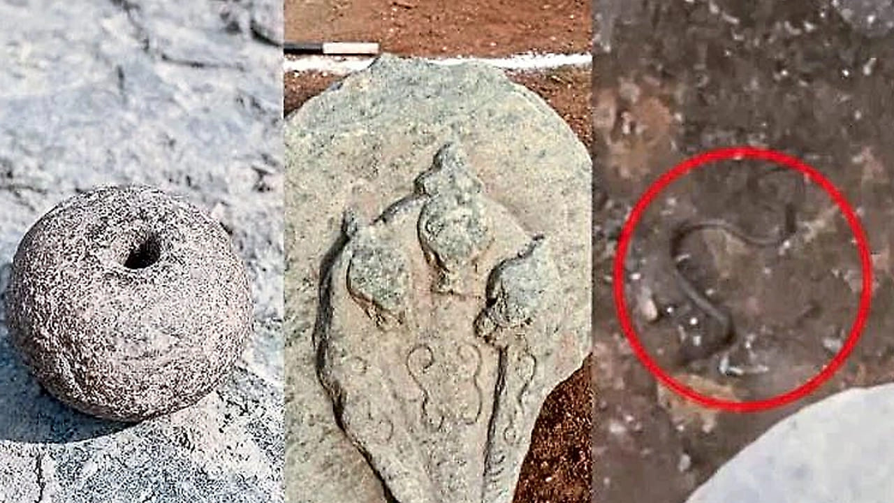 Snake: ఇప్పటివరకు బయటపడ్డ పలు ముఖాల నాగ శిల్పాలు.. ఇప్పుడు ఏకంగా సజీవ పాము..