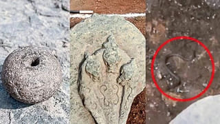 మహారాష్ట్ర ఉప ముఖ్యమంత్రిగా సునేత్రా పవార్ ప్రమాణ స్వీకారం.. ఏయే శాఖలను కేటాయించారంటే..?