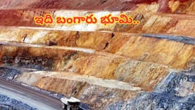 ఇది బంగారు భూమి..! కడుపు నిండా పసిడి నిక్షేపాలే.. గుట్టలుగా