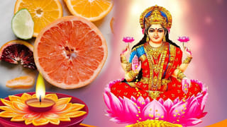 2026 ప్రయోగ రాజ్‌లో మాఘమేళ ఎప్పుడు? దీని ప్రాముఖ్యత తెలుసుకుందాం!