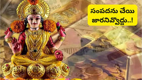 లక్ష్మీదేవి కటాక్షం కోసం.. చేతి నుంచి ఇవి జారకుండా చూసుకోండి..!