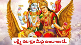 జయ ఏకాదశి.. ఇలా చేస్తే మీ ఇంట్లో లక్ష్మీదేవి తాండవమే..!