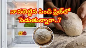 చపాతీ పిండిని ఫ్రిజ్‌లో పెడుతున్నారా..ఎప్పటి వరకు సేఫ్‌గా ఉంటుంది