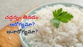 చద్దన్నం తినడం మంచిదేనా.. నిపుణులు ఏం చెబుతున్నారు!