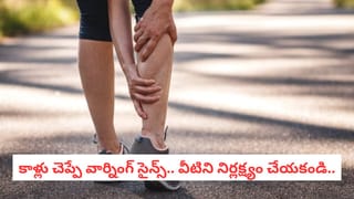 కడుపు నిండా తింటూనే బరువు తగ్గొచ్చు.. తిన్నా లావు అవ్వని 50 ఫుడ్స్ గురించి తెలిస్తే అవాక్కే..