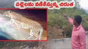 జనావాసాల్లో చిరుత కలకలం.. భయం గుప్పిట జనం.!