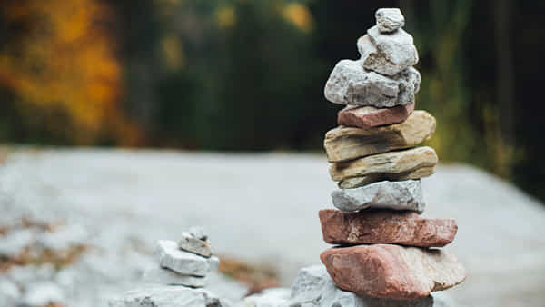 Self-Growth Tips: జీవితంలో ఎదగాలనుకుంటున్నారా? ఈ రహస్యాలు తెలుసుకోండి