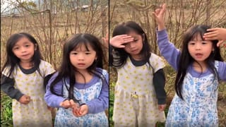 Viral Video: ఇంత అందమైన బల్లిని మీరు ఎప్పుడూ చూసి ఉండరు.. చూస్తే షాక్ అవ్వాల్సిందే!