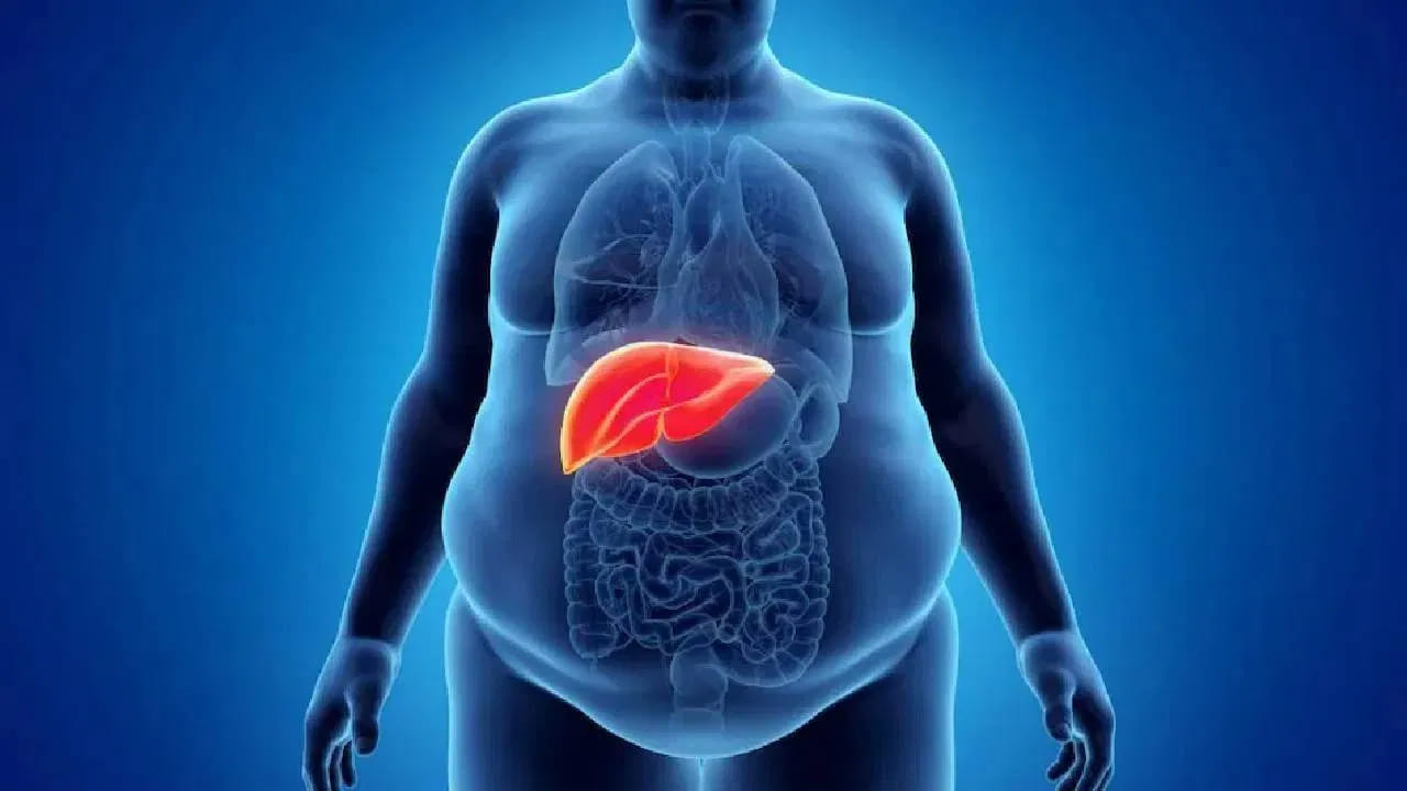 చాలా మందికి కడుపులో భారంగా అనిపిస్తుంది. ఇలా అనిపిస్తే నిర్లక్ష్యం చేయకూడదు. కొవ్వు కాలేయం ఉన్నవారిలో ఉబ్బరం, త్వరగా కడుపు నిండినట్లు అనిపించడం వంటి లక్షణాలు కూడా కనిపిస్తాయి. ఈ సంకేతాలు కనిపిస్తే వెంటనే డాక్టర్‌ను సంప్రదించడం మంచిదని నిపుణులు హెచ్చరిస్తున్నారు.