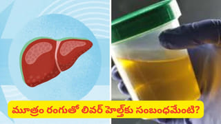 పెరాలసిస్ రోగులకు అదిరిపోయే గుడ్‌న్యూస్.. రోజూ 30 నిమిషాలు ఇలా చేస్తే చాలు.. పైసా ఖర్చులేకుండా నయం చేసుకోవచ్చు..