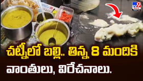 చట్నీలో బల్లి.. తిన్న 8 మందికి వాంతులు, విరేచనాలు