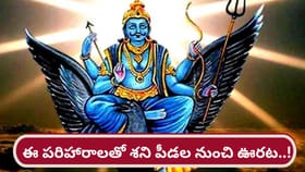 శనీశ్వరుడికి పరిహారాలు.. వారికి జీవితంలో అడ్డంకుల నుంచి విముక్తి.