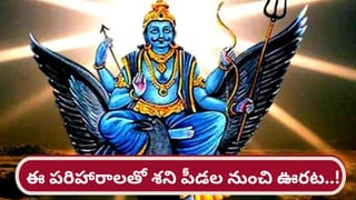 వామ్మో.. పుట్టగొడుగులు తింటే అలర్జీ వస్తుందా? దీనిలో వాస్తవమెంత?