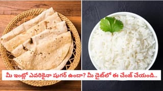 Brinjal Side Effects: నవనవలాడే వంకాయ..ఈ సమస్యలు ఉన్నవారు తింటే మాత్రం నష్టం తప్పదు…