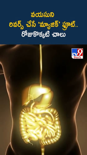 రోజూ ఒక్కటి తింటే చాలు.. జామపండుతో ఎన్నో ఆరోగ్య ప్రయోజనాలు