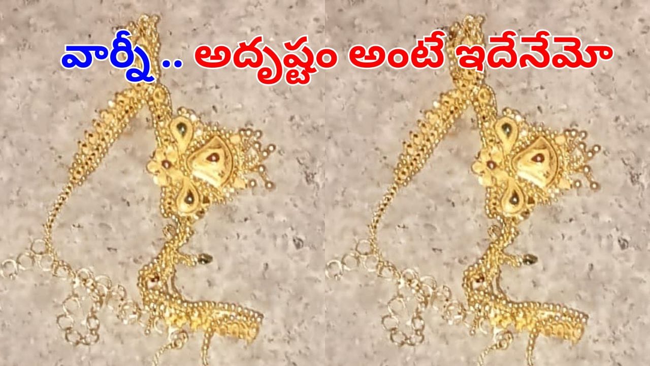 Video: ఇదికదా అదృష్టం అంటే..  పోయిన 2 రోజుల తర్వాత ఇంటిముందు ప్రత్యక్షమైన నక్లెస్.. అసలు మ్యాటర్ తెలిసి..