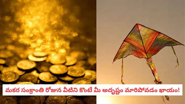 Sankranti 2026: సంక్రాంతి నాడు ఈ 5 వస్తువులను ఇంటికి తెచ్చుకోండి.. పేదరికం పోయి లక్ష్మీదేవి మీ వెంటే