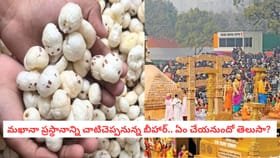 మఖానా ప్రస్థానాన్ని చాటిచెప్పనున్న బిహార్.. ఏం చేయనుందో తెలుసా?