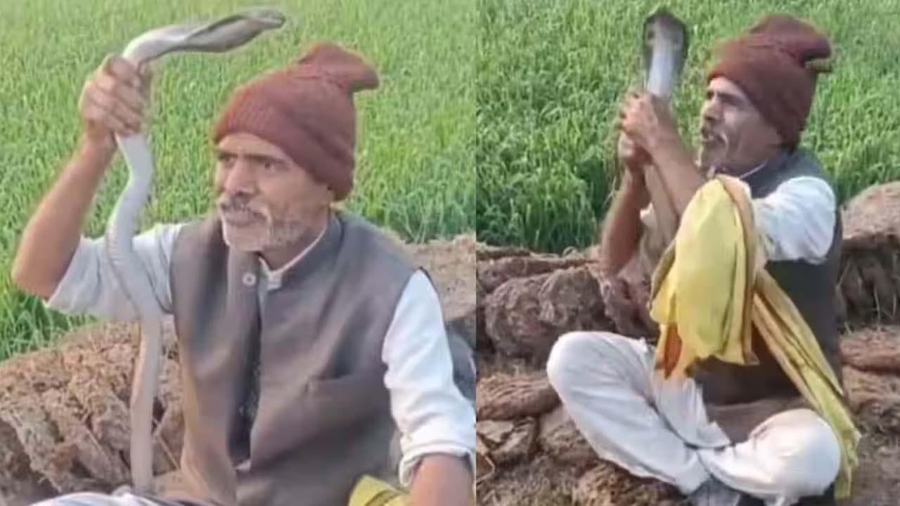 Viral Video: వార్నీ.. అదేమన్నా.. రబ్బర్ ట్యూబ్ అనుకున్నావా.. నల్ల తాచుతో పరాచికాలా..?