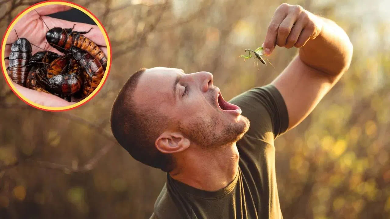 నీకో దండం సామీ.. బతికున్న పురుగులను స్నాక్స్‌లా తింటున్నాడు.. కారణం తెలిస్తే అవాక్కే..