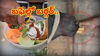 Viral News: మీ ఆత్మలు శాంతించుగాక! ఈగలు, బొద్దింకలకు నివాళి.. 40ఏళ్లుగా సాగుతున్న వింత సంప్రదాయం..?