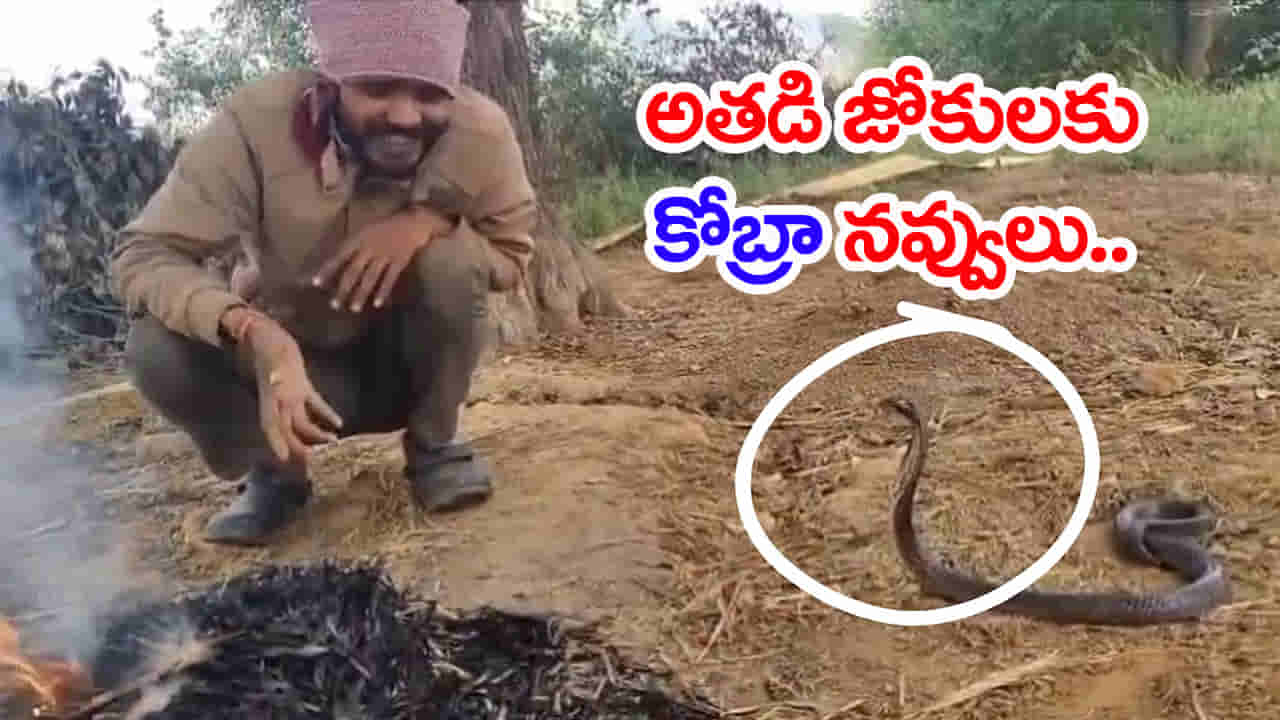 Viral Video: బ్రో.. అదేమైనా నీ గర్ల్ ఫ్రెండ్ అనుకున్నావా? చలిమంట వేసిమరీ నల్లతాచుతో ముచ్చట్లు.. వీడియో