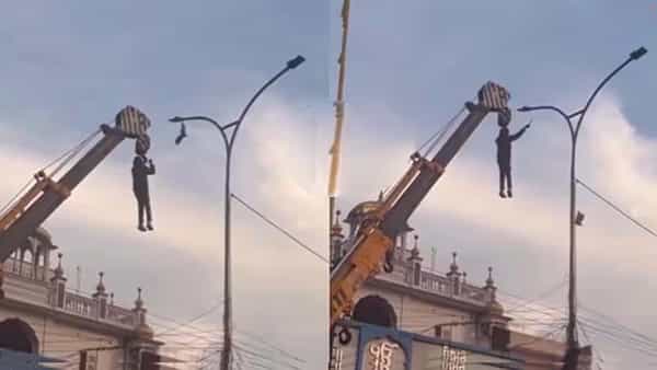 హాట్సాప్.. స్తంభంపై చిక్కుకున్న పక్షి కోసం తన ప్రాణాలనే పణ్ణంగా పెట్టిన యువకుడు..!