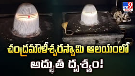 చంద్రమౌళీశ్వరస్వామి ఆలయంలో అద్భుత దృశ్యం