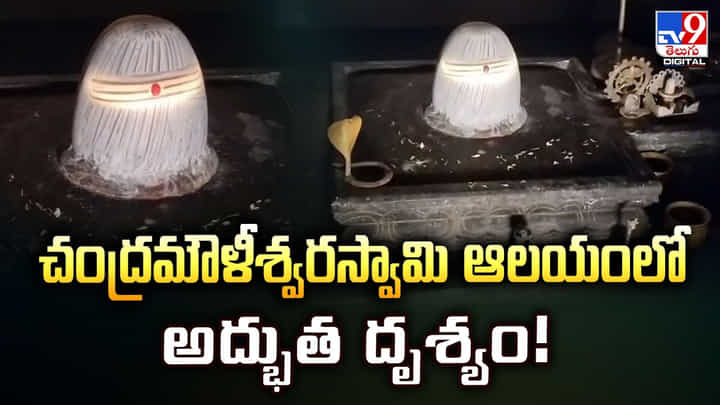 చంద్రమౌళీశ్వరస్వామి ఆలయంలో అద్భుత దృశ్యం చంద్రమౌళీశ్వరస్వామి ఆలయంలో అద్భుత దృశ్యం