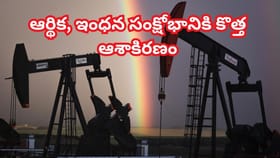 పాకిస్తాన్‌లో బయటపడ్డ అరుదైన నిధి..! దెబ్బకు అప్పులు తీరి..