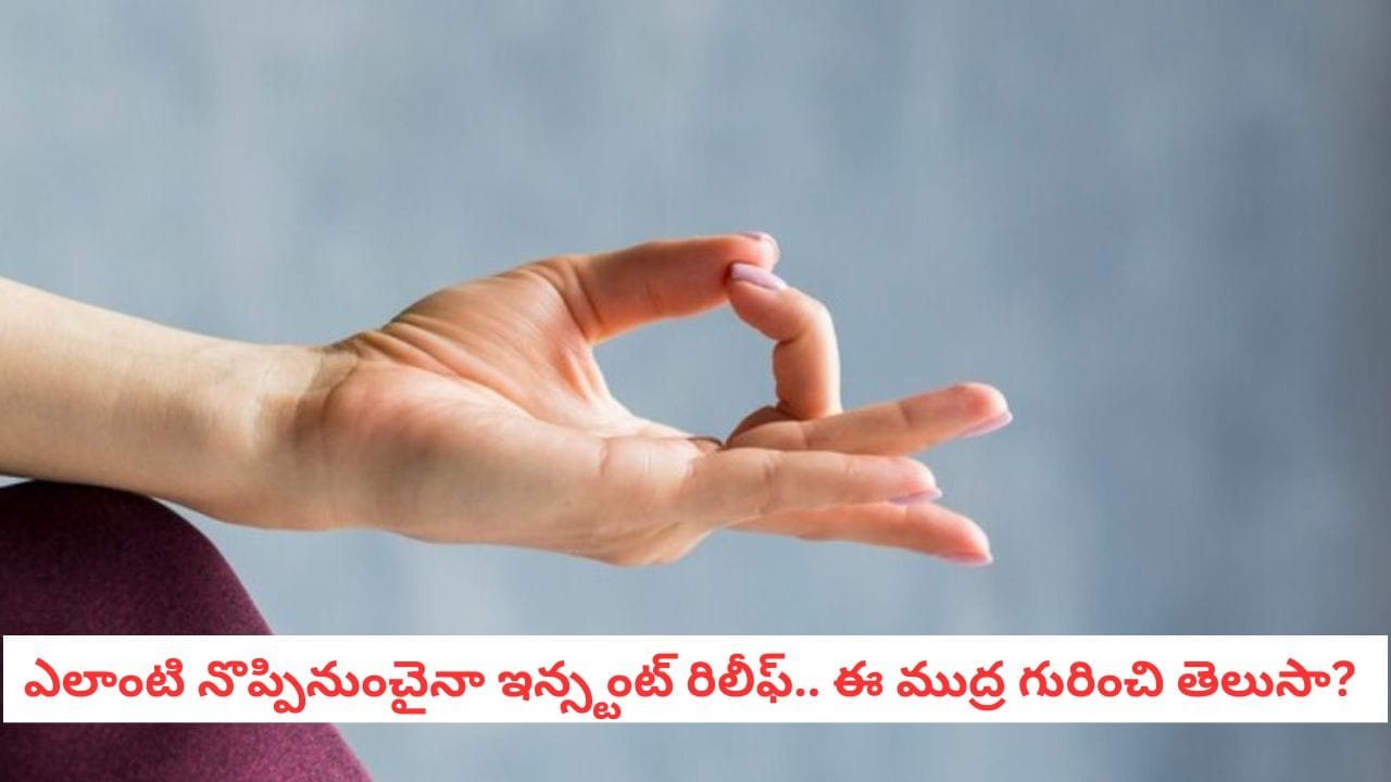 Yoga Healing: శరీరంలో ఎక్కడ నొప్పి ఉన్నా ఈ ముద్ర వేసి చూడండి! ఇన్స్టంట్ రిలీఫ్