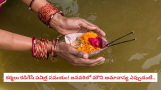 ప్రధాన ద్వారం వద్ద గణపతిని ప్రతిష్టించారా? ఈ వాస్తు టిప్స్ పాటిస్తే మరింత అదృష్టం