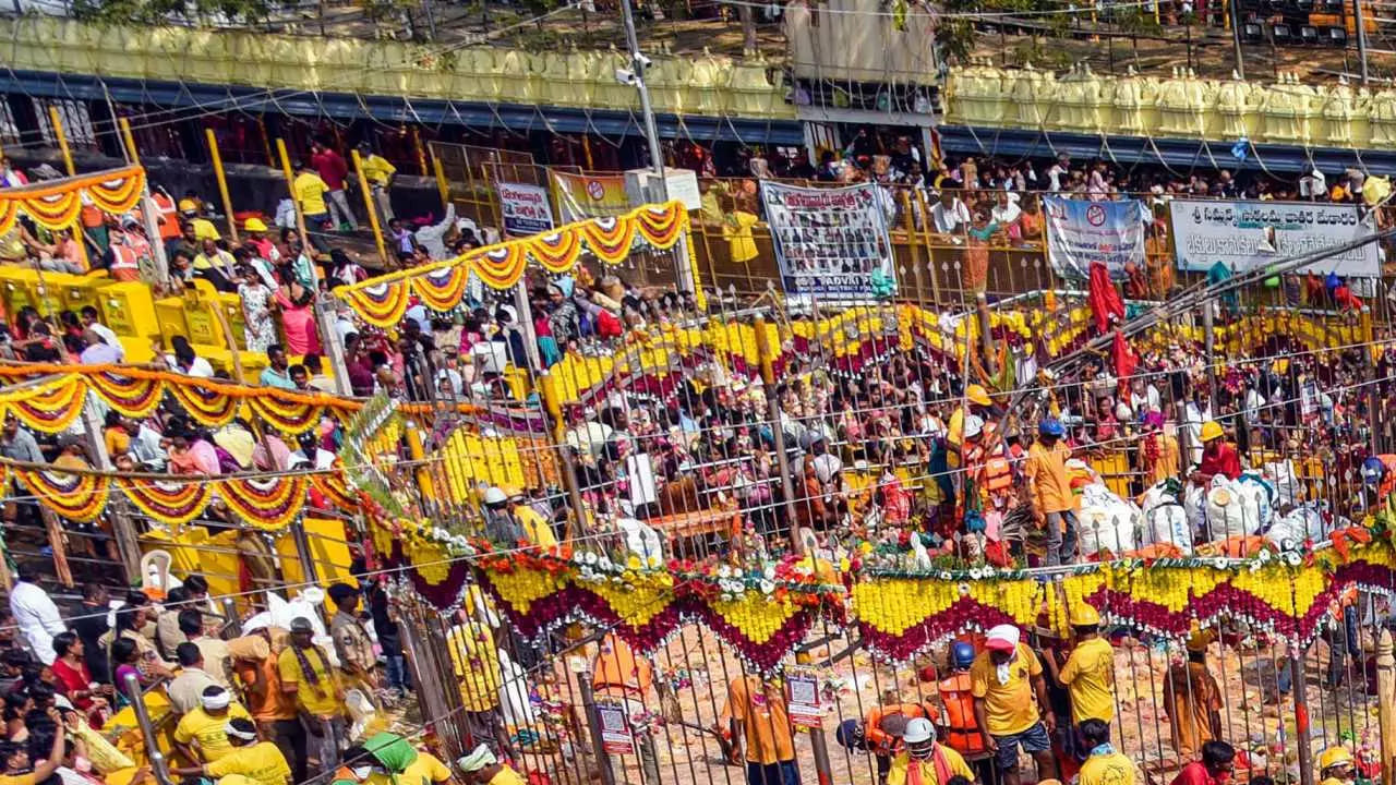 వరంగల్, కాజీపేట రైల్వే స్టేషన్ల దగ్గర ఆర్టీసీ ప్రత్యేక బస్సు సర్వీసులను రైల్వే ప్రయాణికుల కోసం ఎప్పటికప్పుడు అందుబాటులో ఉంచనుంది. ఇక్కడ రైలు దిగగానే భక్తులు నేరుగా బస్సు ఎక్కి మేడారం చేరుకోవచ్చు. ఇందుకోసం రైల్వే స్టేషన్ల దగ్గర ప్రత్యేక బస్ పాయింట్లను ఏర్పాటు చేస్తున్నారు. ఈ ప్రత్యేక పాయింట్ల దగ్గర బస్సులు నిరంతరం అందుబాటులో ఉంటాయి.