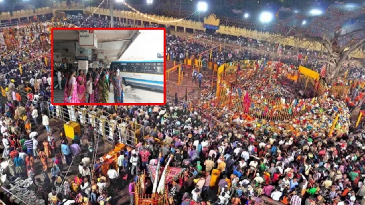 సికింద్రాబాద్ నుంచి మంచిర్యాల, సిర్పూర్ కాగజ్ నగర్ రూట్లతో పాటు నిజామాబాద్ నుంచి వరంగల్ మార్గంలో, కాజీపేట నుంచి ఖమ్మం, ఆదిలాబాద్ రూట్లలో ప్రత్యేక రైళ్లను రైల్వేశాఖ నడపనుంది. దీని వల్ల రాష్ట్ర నలుమూలల నుంచి మేడారంకు చేరుకునేవారికి ఇవి ఉపయోగపడనున్నాయని రైల్వేశాఖ పేర్కొంది.