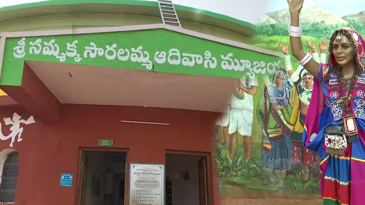 గిరిజన మ్యూజియం : మేడారం దగ్గర రెడ్డిగూడెం సమీపంలో గిరిజన మ్యూజియం ఉంది. మేడారం వెళ్లేవారు తప్పకుండా దీనిని చూసి రావాల్సిందేనంట. ఆదివాసీల సంసృతి సంప్రదాయాలతో కూడిన ఈ చిత్రాలు, సమ్మక్క సారలమ్మ వాడిన వస్తువులు, వీర వనితల జీవిత చరిత్రను చాలా అద్భుతంగా తీర్చి దిద్దారు. అందువలన తప్పకుండా దీనిని సందర్శించాల్సిందేనంట.