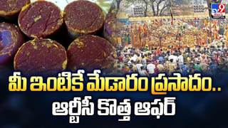 పొలం దున్నుతుండగా నాగలికి తగిలిన రాయి.. తీసి చూడగా..!