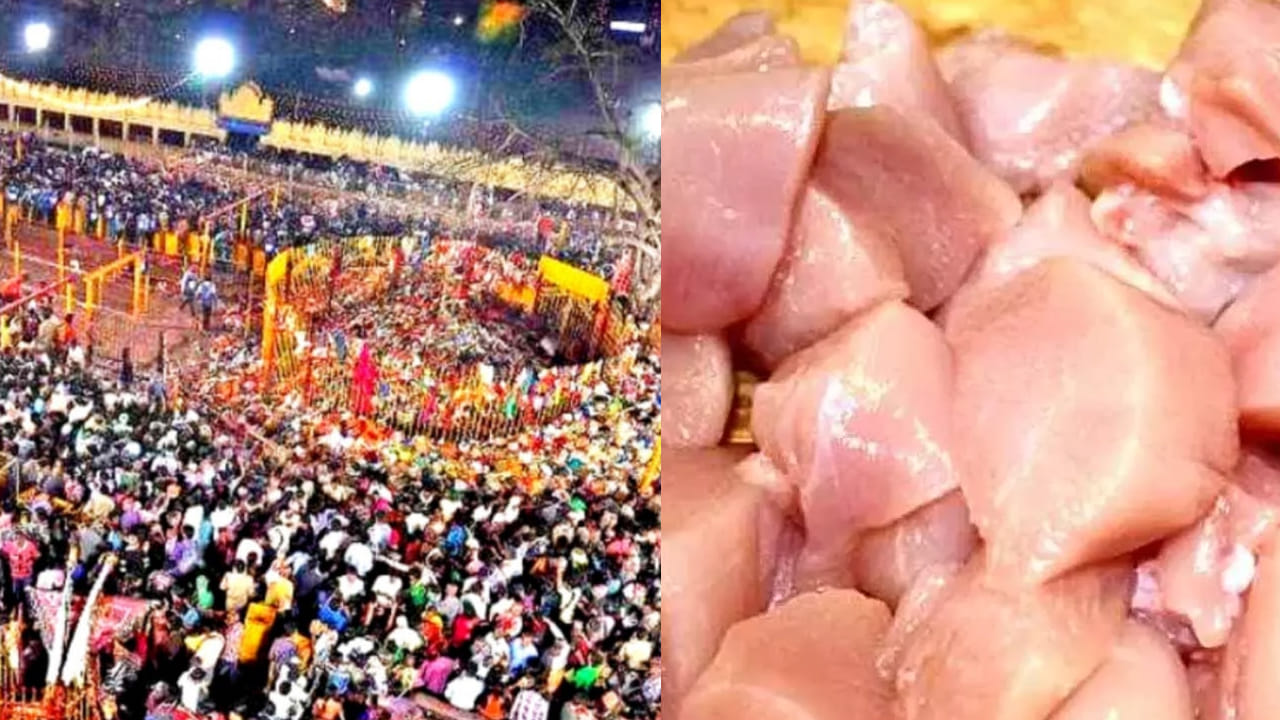 Medaram Jatara: మేడారంలో పేలిపోతున్న మటన్, చికెన్ ధరలు.. వాయమ్మో చెట్టు నీడకు కూడా కిరాయినా.. నిలువునా దోపిడీ