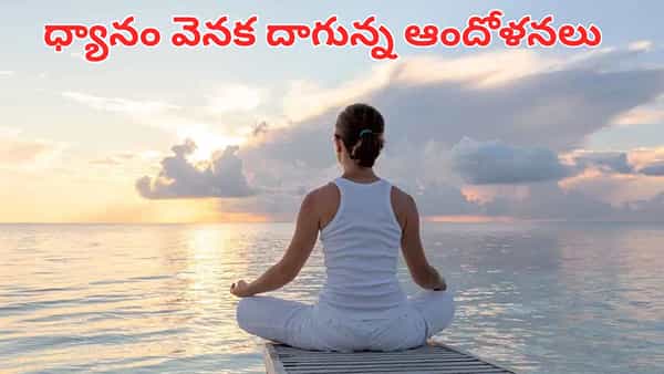 Meditation: ధ్యానం వెనక దాగున్న మరో కోణం.. ఈ షాకింగ్ నిజాలను తప్పక తెలుసుకోండి..