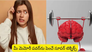 Darkness around the neck: మెడ చుట్టూ నల్లటి వలయం ఏర్పడిందా ! నిర్లక్ష్యం చేయొద్దు.. ఈ వ్యాధి ఉండొచ్చు?