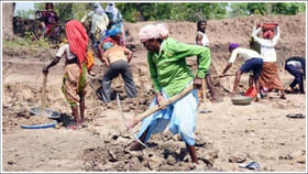ఉపాధి హామీ కూలీలకు గుడ్‌న్యూస్‌.. ఫిర్యాదుల కోసం టోల్‌ ఫ్రీ నంబర్
