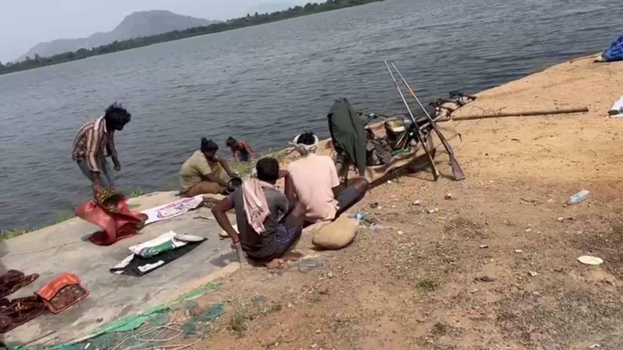 Migratory Birds Prakasam (1)