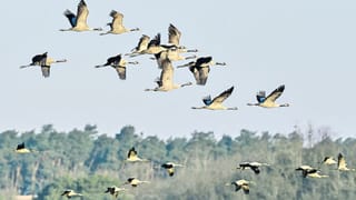 Viral News: రైలులో ట్రాన్స్‌జెండర్‌ ముందు వెక్కి వెక్కి ఏడ్చిన యువకుడు.. ఆమె చేసిన పనికి ప్రశంసలు!