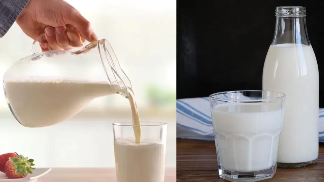ఫ్యాటా.. ఫ్యాట్ లేకుండానా.. ఏ పాలు ఆరోగ్యానికి మంచిది..?