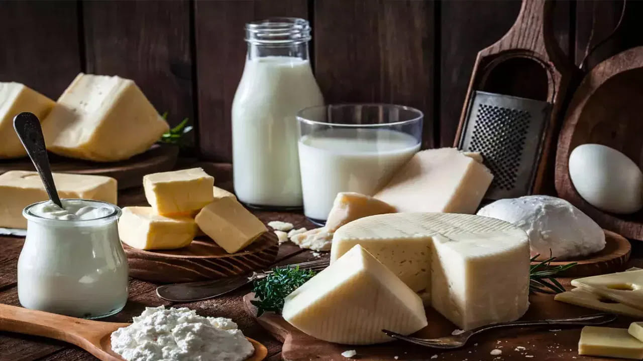 పాల ఉత్పత్తులు: పాలు, పెరుగు, జున్ను కాల్షియం, పాస్పరస్‌కి ప్రధాన వనరులు. ఇవి పంటి ఎనామెల్‌ను తిరిగి పునర్నిర్మించడంలో సహాయపడతాయి. ముఖ్యంగా జున్ను నమలడం వల్ల లాలాజలం ఎక్కువగా ఊరి, నోటిలోని ఆమ్లాలు న్యూట్రల్ అవుతాయి.
